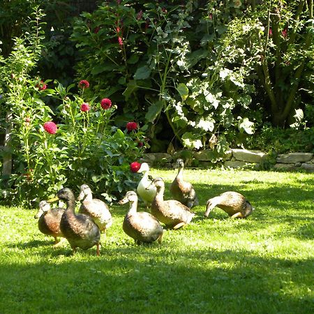 Apartamento La Ferme de Marie Rangen Exterior foto