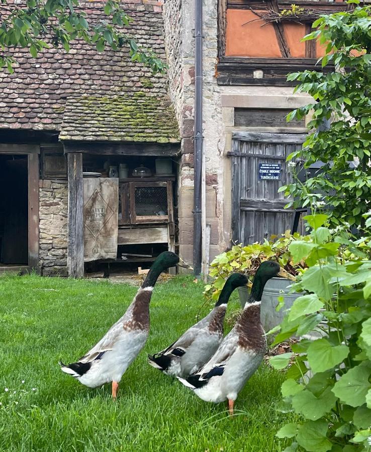 Apartamento La Ferme de Marie Rangen Exterior foto