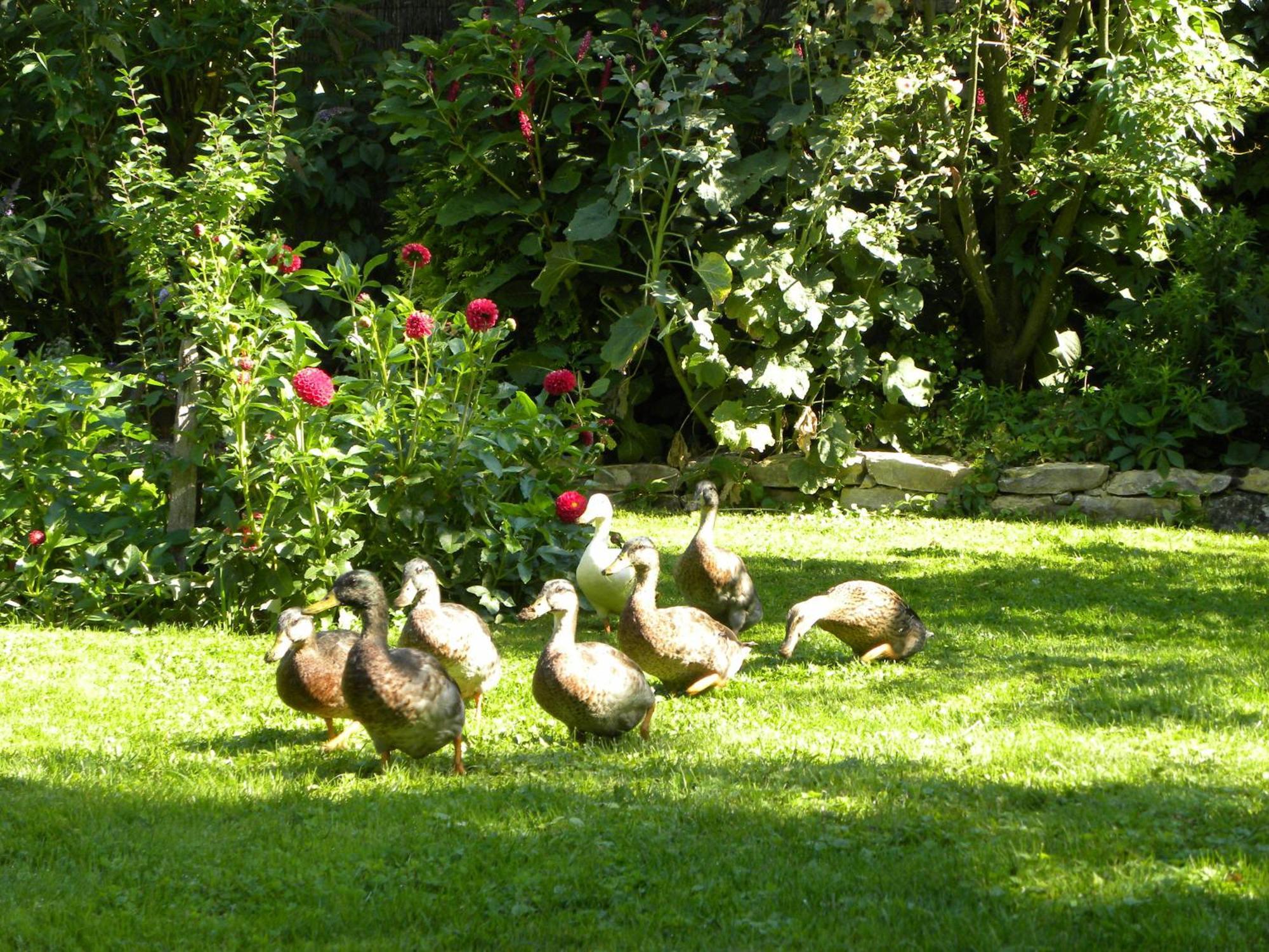 Apartamento La Ferme de Marie Rangen Exterior foto